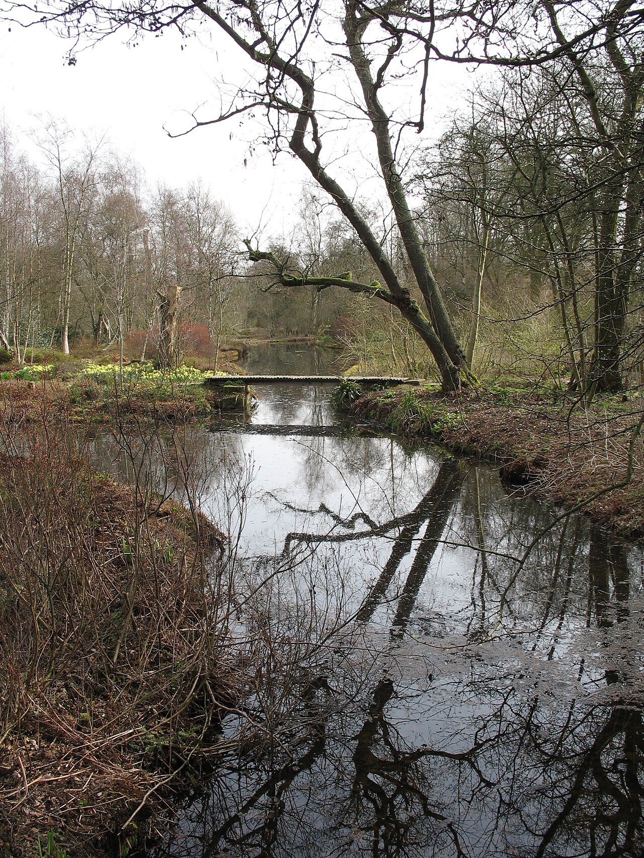 Jac. P. Thijssepark in Amstelveen