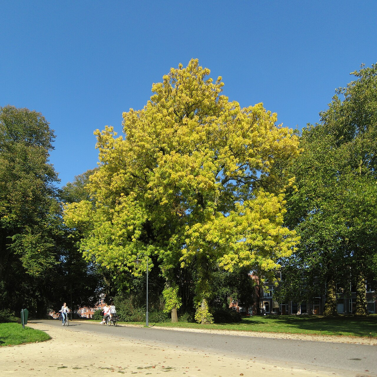 Noorderplantsoen, a city park in Groningen